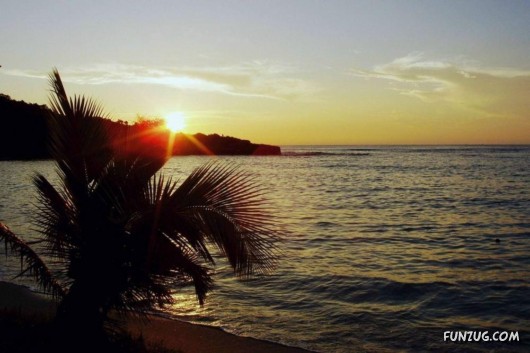 Tropical Island Of Fiji