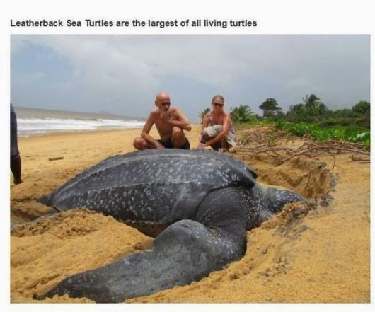 Some Amazing Meaningful Photos