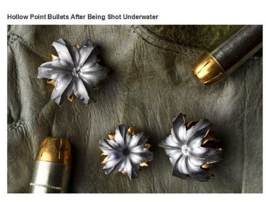 Some Amazing Meaningful Photos