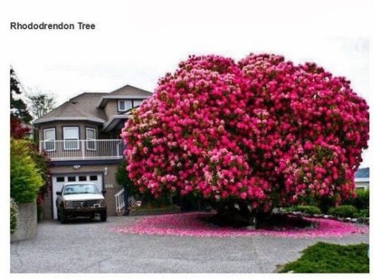 Some Amazing Meaningful Photos