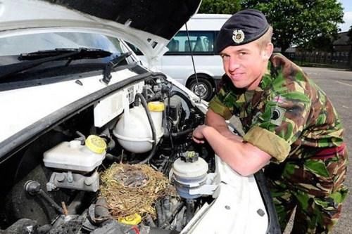 Birds Nests In Unusual Places