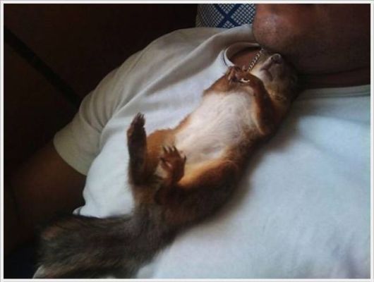 Adorable Friendship With A Squirrel