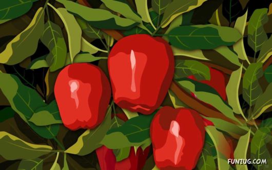 Click to Enlarge - Creative & Artistic Wallpapers