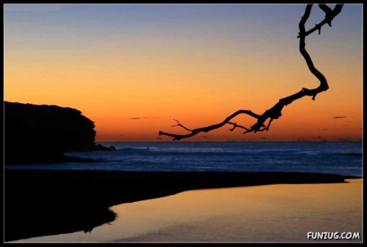 Click to Enlarge - Close to The Mother Nature