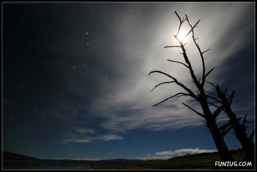 Click to Enlarge - Close to The Mother Nature