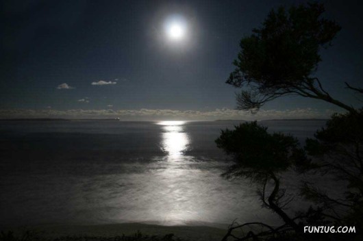 Click to Enlarge - Close to The Mother Nature