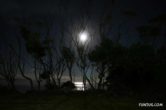 Click to Enlarge - Close to The Mother Nature