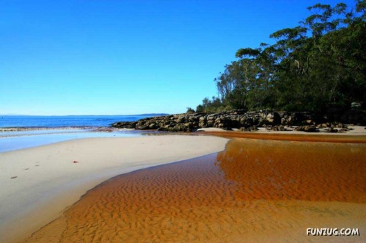 Click to Enlarge - Close to The Mother Nature