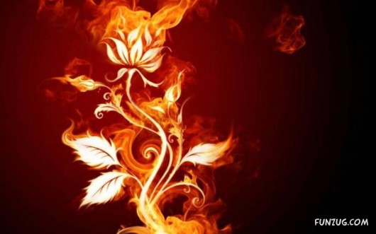Click to Enlarge - Fire Art Amazing Wallpapers