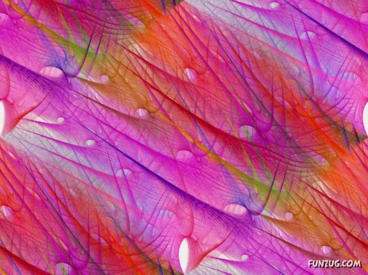 Click to Enlarge - Fractal Art Wallpapers Collection