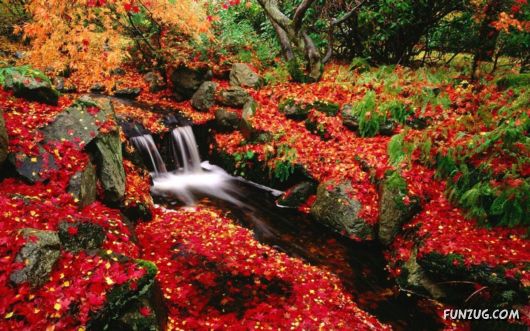 Beautiful HQ Red Wallpapers