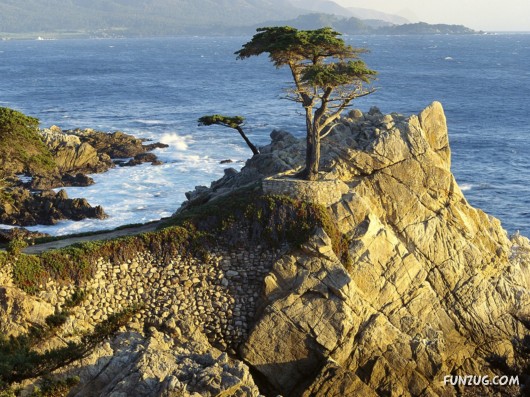 Click to Enlarge -Magical Earth Beautiful Wallpapers