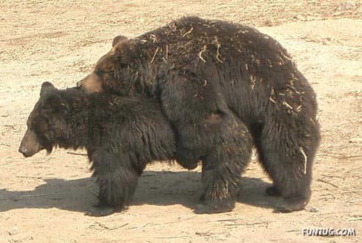 Freaks of The Nature