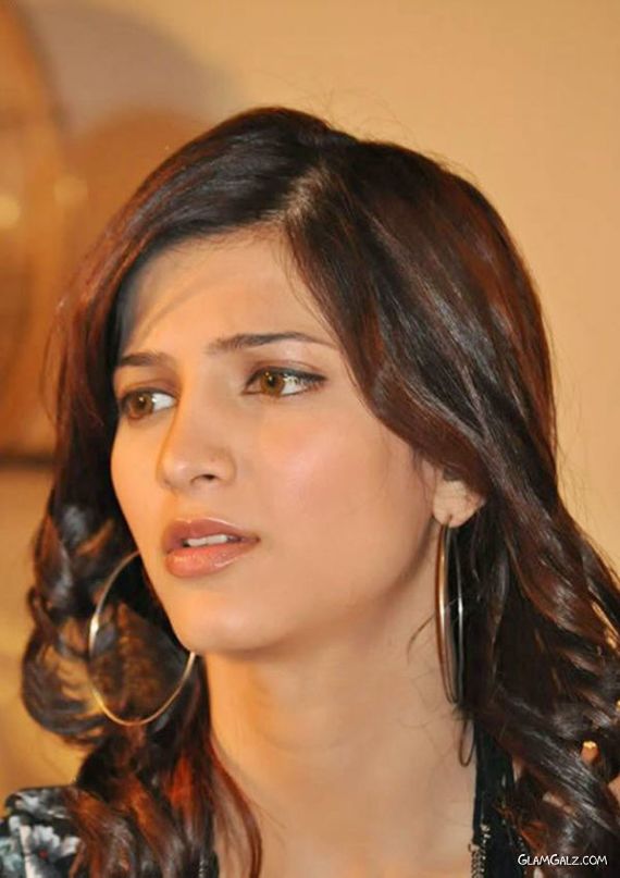 Spicy Shruti Hassan in Black