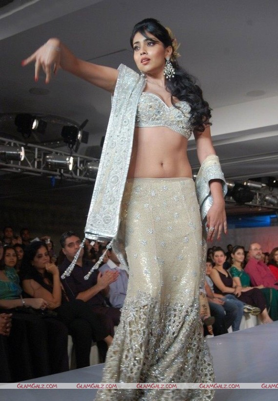 Beautiful Shriya Saran