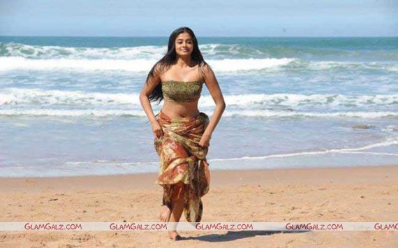 Awesome Tolly Beauty Priyamani