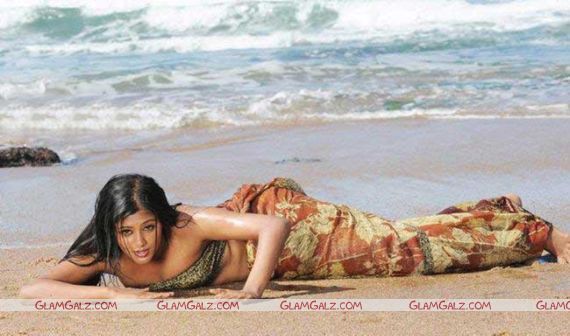 Awesome Tolly Beauty Priyamani