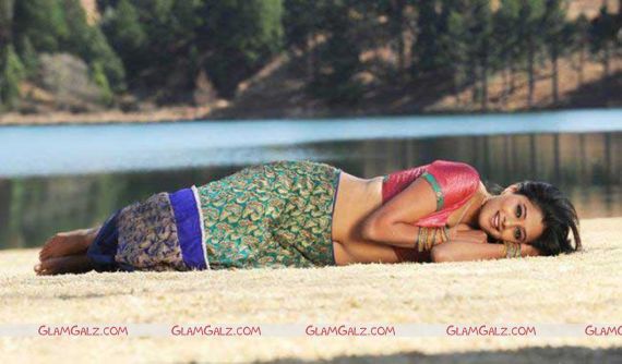 Awesome Tolly Beauty Priyamani