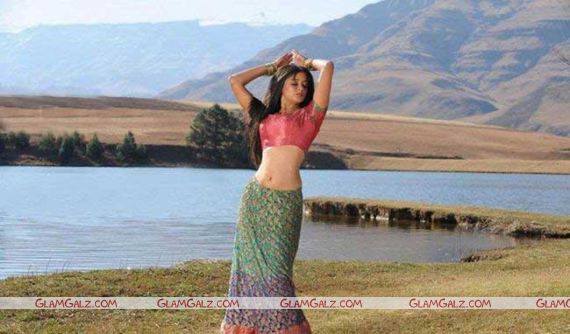 Awesome Tolly Beauty Priyamani