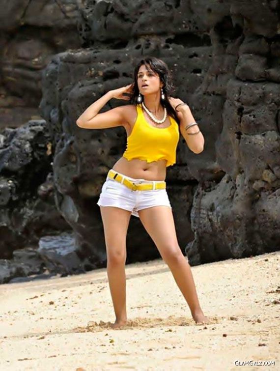Shraddha Das On The Beach