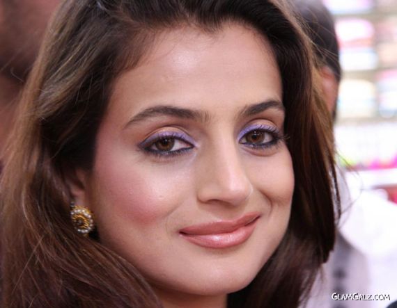 Click to Enlarge - Beautiful Amisha Patel Wallpapers