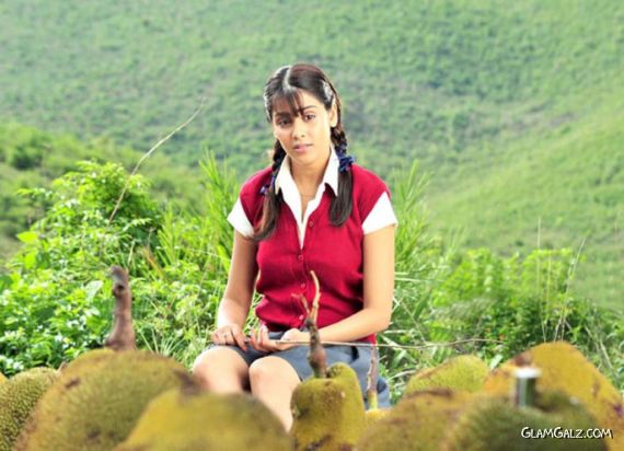 Click to Enlarge - Beautiful Genelia D'Souza Wallpapers