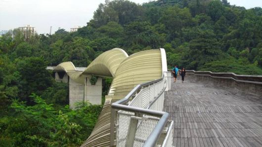 Henderson Waves Bridge In Singapore